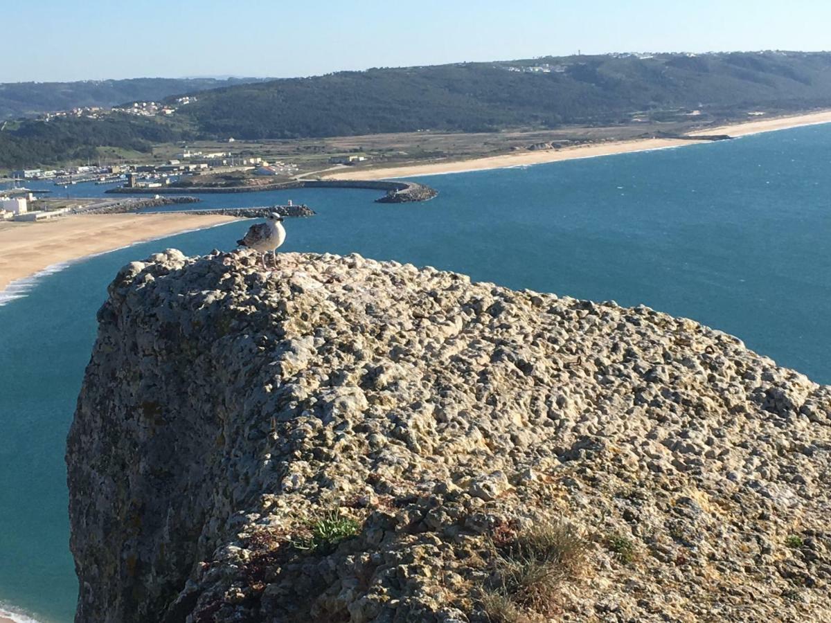 Apartament Sitio Ocean Views Nazaré Zewnętrze zdjęcie